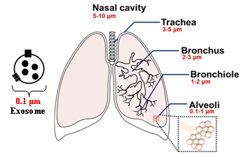 nebulizer